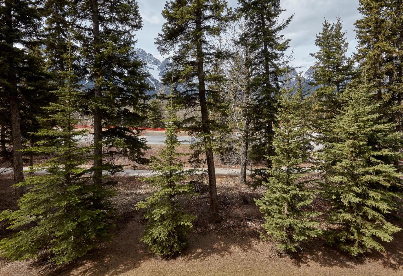 Grizzly Lodge Canmore Kültér fotó